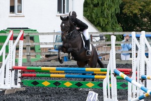 Class 6 - Fences not above 2'9